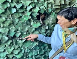Go With A Local: Skip-The-Line Sagrada Família Tour in French